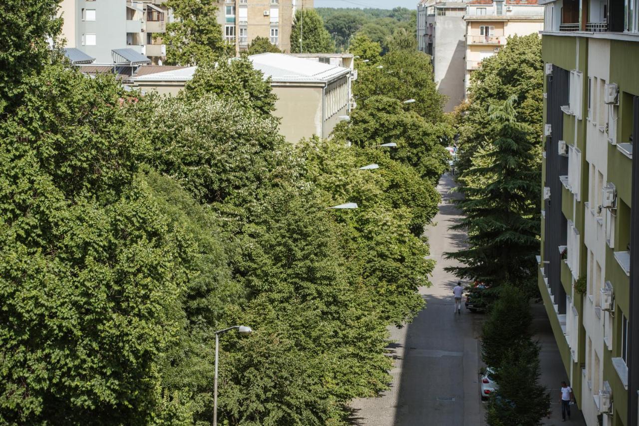 דירות נובי סאד Old Town Flat מראה חיצוני תמונה