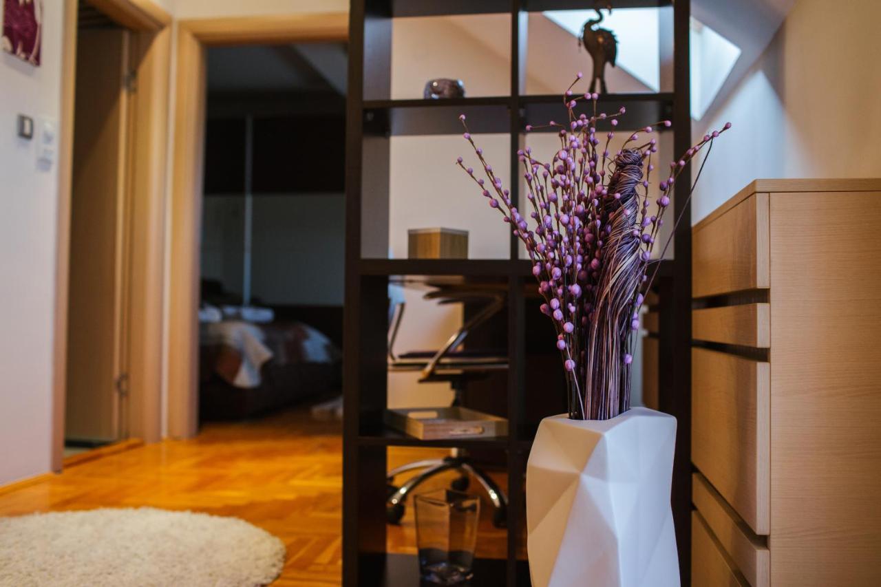 דירות נובי סאד Old Town Flat מראה חיצוני תמונה
